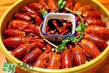 吃小龍蝦喝什么飲料？小龍蝦配什么飲料最好？