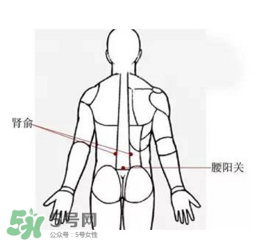 艾灸能減肥嗎？艾灸能不能減肥