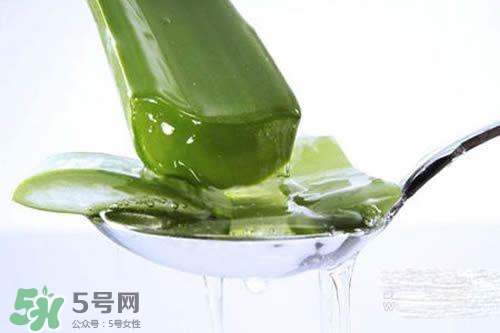 黃瓜水和蘆薈水哪個好？黃瓜水和蘆薈水功效區(qū)別