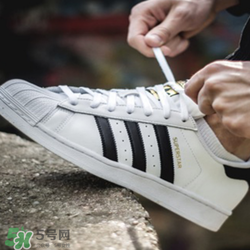 adidas貝殼頭正品多少錢？阿迪達斯貝殼頭鞋專柜價格