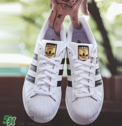 adidas貝殼頭正品多少錢？阿迪達斯貝殼頭鞋專柜價格