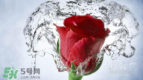黃瓜水和玫瑰水哪個好？黃瓜水和玫瑰水區(qū)別