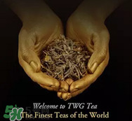 twg茶哪個最經(jīng)典？twg茶葉哪個好喝？