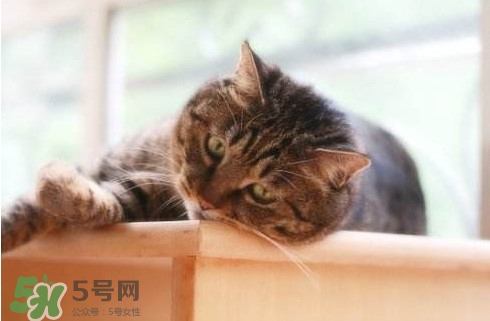 為什么身體總是覺得累？總是覺得累是怎么回事
