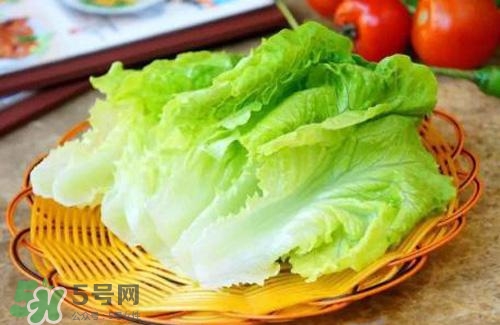 生菜可以放冰箱嗎？生菜可以放冰箱多久？