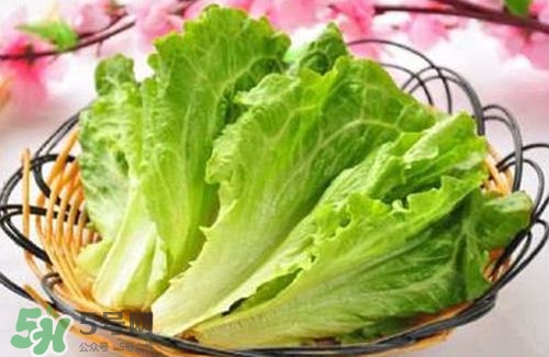 生菜可以放冰箱嗎？生菜可以放冰箱多久？