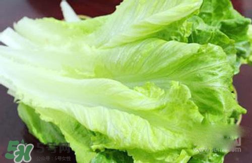 生菜可以放冰箱嗎？生菜可以放冰箱多久？