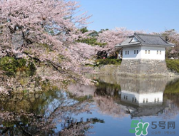5月份去日本穿什么？五月份去日本穿什么衣服？