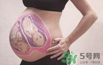 妊娠線看可以看胎兒性別嗎？妊娠線看可以男女嗎？