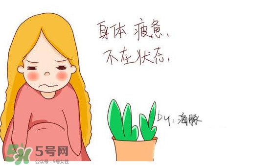為什么身體總是覺得累？總是覺得累是怎么回事