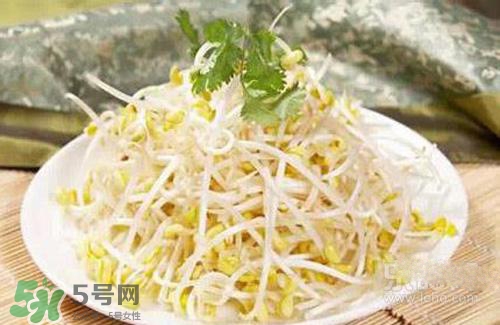 黃豆芽熱量高嗎？吃黃豆芽會(huì)長(zhǎng)胖嗎？