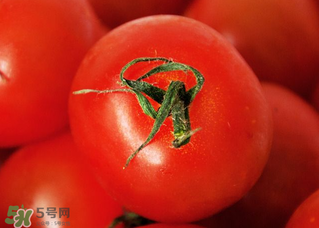 五月份吃什么蔬菜？5月份吃什么蔬菜？