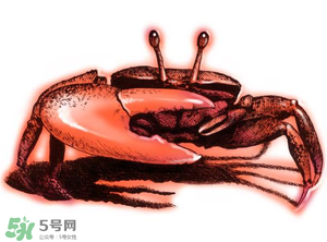 五月份可以吃螃蟹嗎？5月份可以吃螃蟹嗎？