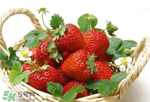 五月份還有草莓嗎？5月份還有草莓嗎？