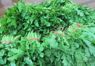 罌粟苗能當(dāng)菜吃嗎？罌粟苗可以當(dāng)菜吃嗎？
