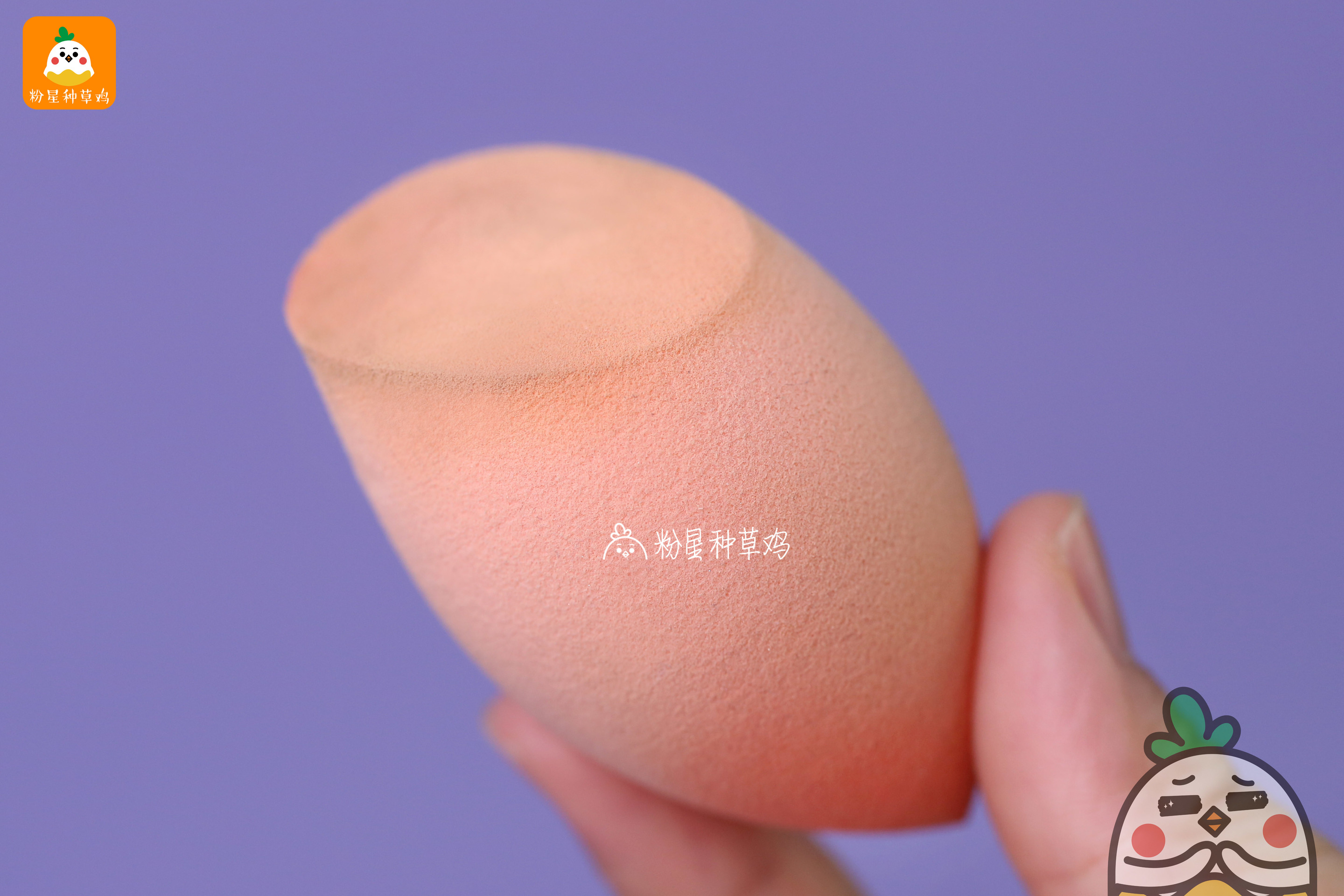 beauty blender美妝蛋和rt美妝蛋哪個(gè)好？