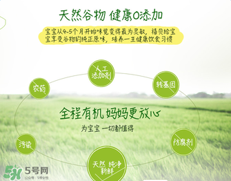 禧貝米粉二段味道怎么樣？禧貝米粉二段味道如何？