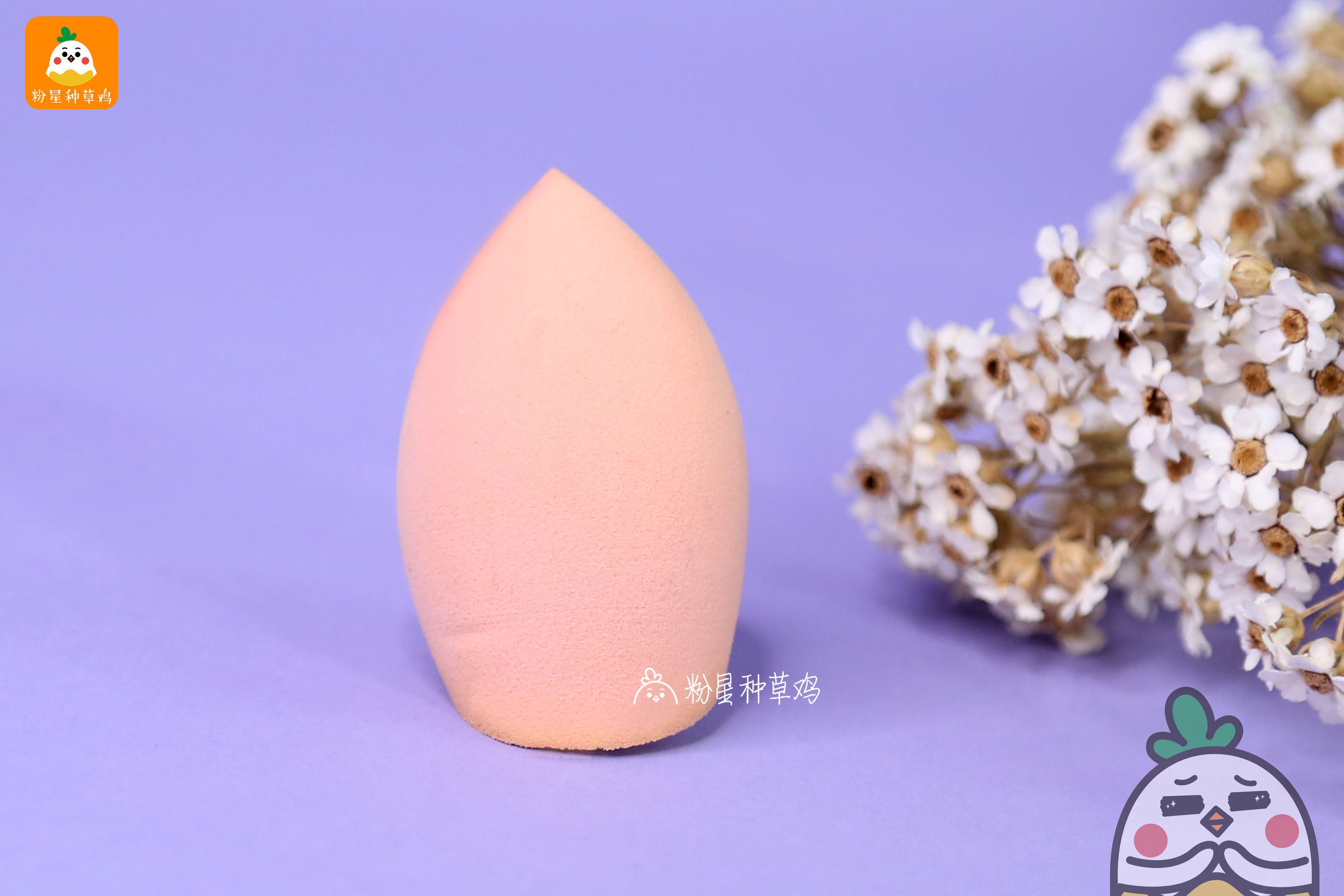 beauty blender美妝蛋和rt美妝蛋哪個(gè)好？