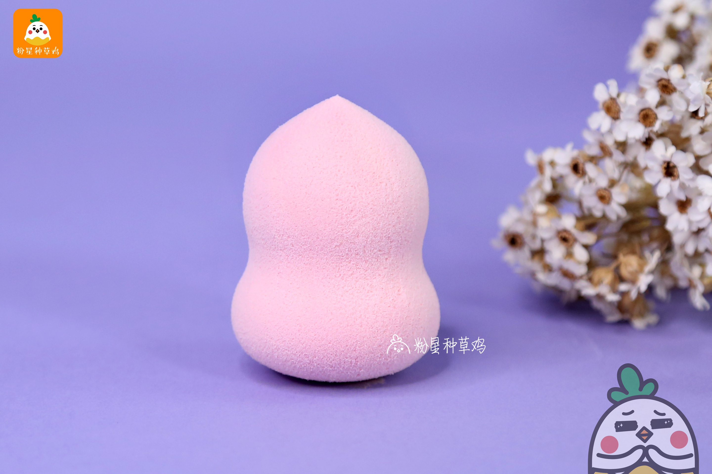 beauty blender美妝蛋和rt美妝蛋哪個(gè)好？