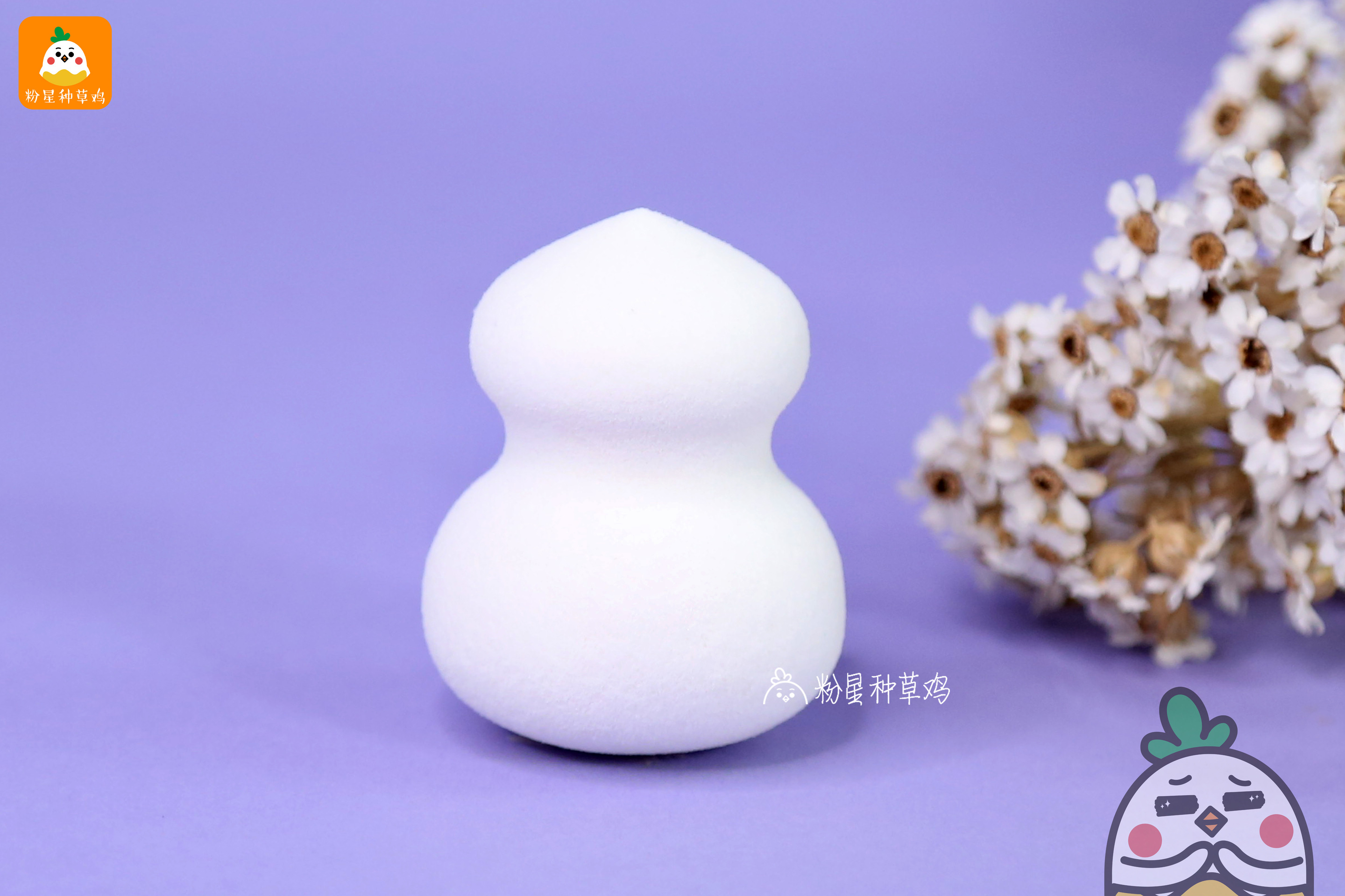 beauty blender美妝蛋和rt美妝蛋哪個(gè)好？