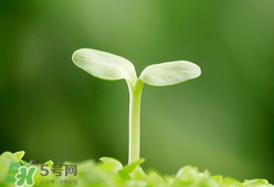 甲醛檢測儀哪個牌子好？哪個牌子的甲醛檢測儀好？