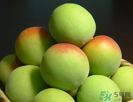 青梅什么時候成熟？青梅幾月份成熟？