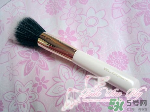 bloomy老爺家化妝刷哪款好？bloomy化妝刷推薦