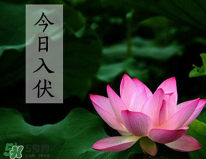 2017年頭伏是哪一天？2017年什么時(shí)候入伏？