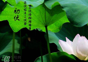 2017年頭伏是哪一天？2017年什么時(shí)候入伏？
