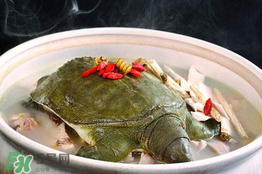 懷孕初期能吃甲魚嗎？懷孕初期可以吃甲魚嗎？