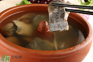 懷孕初期能吃甲魚嗎？懷孕初期可以吃甲魚嗎？