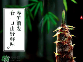 春筍多少錢一斤？春筍多少錢一斤2017？