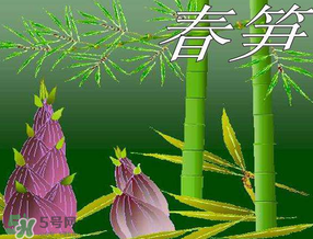 春筍多少錢一斤？春筍多少錢一斤2017？