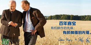 喜寶米粉怎么樣？喜寶米粉如何？