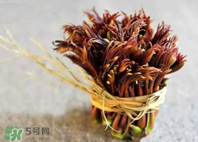 香椿幾月份可以吃？香椿什么時候吃？