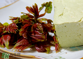 香椿為什么會(huì)苦？香椿苦味怎么回事？