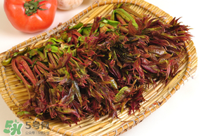 香椿為什么會(huì)苦？香椿苦味怎么回事？