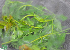 香椿為什么要焯水？香椿怎么焯水？