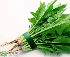 孕婦可以吃菠菜嗎？孕婦菠菜吃多了會(huì)怎樣？