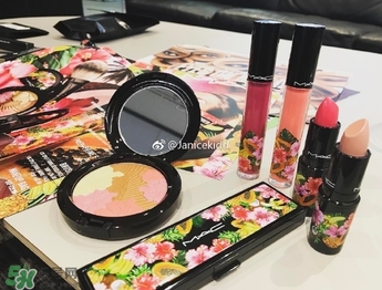 mac2017夏季fruity juicy系列有哪些？