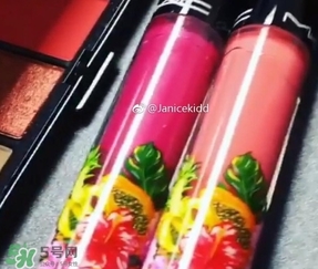 mac2017夏季fruity juicy系列有哪些？