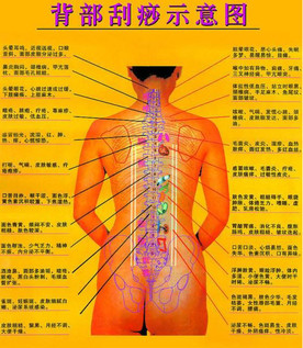 背部怎么刮痧視頻？背部刮痧手法視頻
