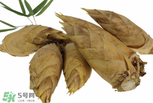 竹筍什么時候長出來？竹筍幾月份長出來？