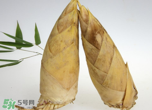 竹筍什么時候長出來？竹筍幾月份長出來？