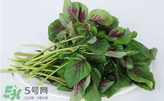 孕婦能吃莧菜嗎？孕婦可以吃莧菜嗎？