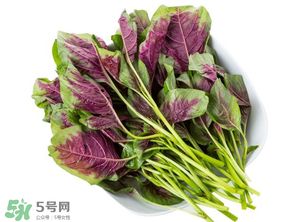 孕婦能吃莧菜嗎？孕婦可以吃莧菜嗎？