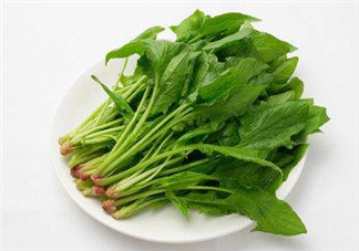孕婦可以吃菠菜嗎？孕婦菠菜吃多了會怎樣？