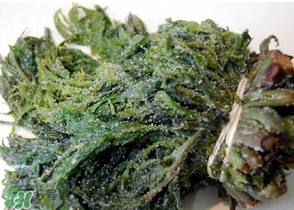 香椿腌制多久可以吃？香椿腌多長(zhǎng)時(shí)間能吃？