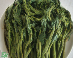 香椿腌制多久可以吃？香椿腌多長(zhǎng)時(shí)間能吃？