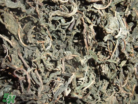 香椿可以曬干嗎？香椿怎么曬干？